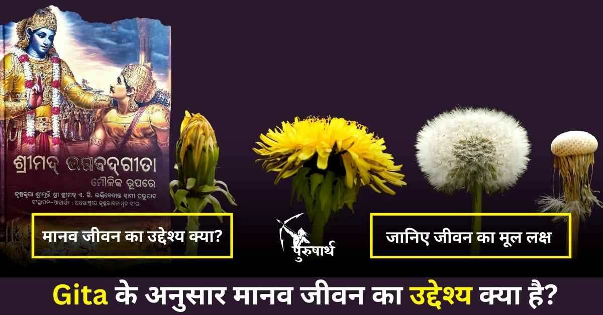 Gita के अनुसार मानव जीवन का उद्देश्य क्या है?